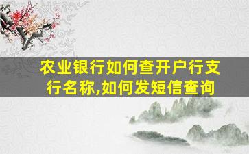 农业银行如何查开户行支行名称,如何发短信查询