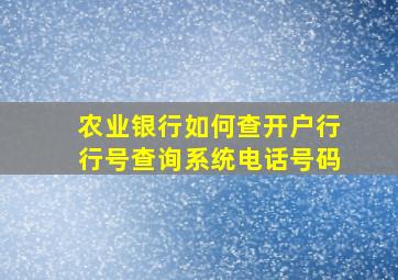 农业银行如何查开户行行号查询系统电话号码