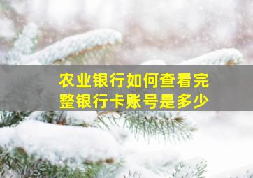 农业银行如何查看完整银行卡账号是多少