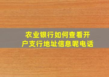 农业银行如何查看开户支行地址信息呢电话