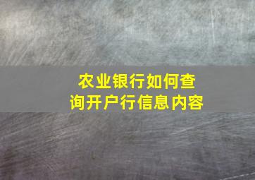 农业银行如何查询开户行信息内容