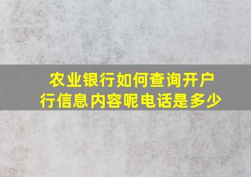 农业银行如何查询开户行信息内容呢电话是多少