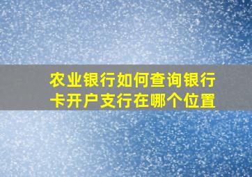 农业银行如何查询银行卡开户支行在哪个位置