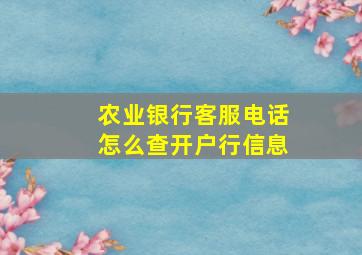 农业银行客服电话怎么查开户行信息