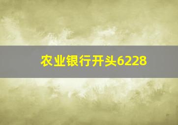 农业银行开头6228