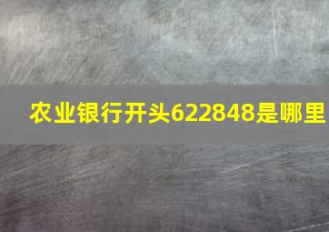 农业银行开头622848是哪里