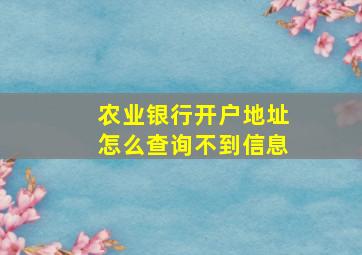 农业银行开户地址怎么查询不到信息