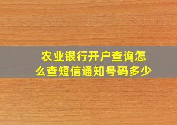 农业银行开户查询怎么查短信通知号码多少