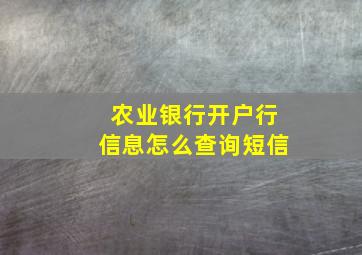 农业银行开户行信息怎么查询短信