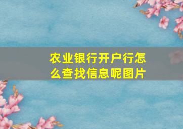 农业银行开户行怎么查找信息呢图片