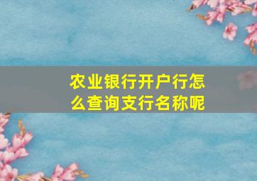 农业银行开户行怎么查询支行名称呢