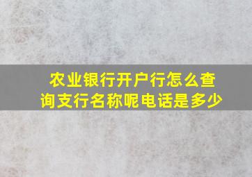 农业银行开户行怎么查询支行名称呢电话是多少