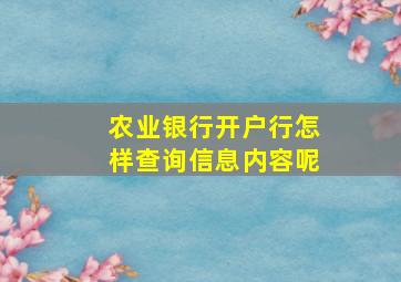 农业银行开户行怎样查询信息内容呢