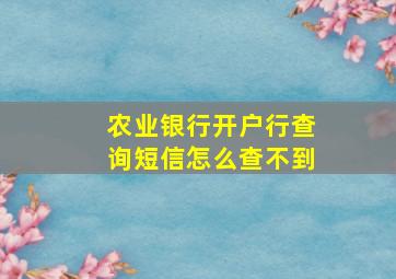 农业银行开户行查询短信怎么查不到