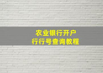 农业银行开户行行号查询教程