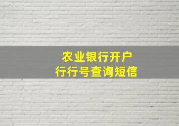 农业银行开户行行号查询短信