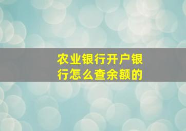 农业银行开户银行怎么查余额的