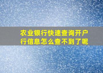 农业银行快速查询开户行信息怎么查不到了呢