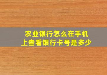 农业银行怎么在手机上查看银行卡号是多少