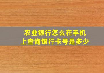 农业银行怎么在手机上查询银行卡号是多少