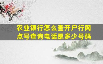 农业银行怎么查开户行网点号查询电话是多少号码