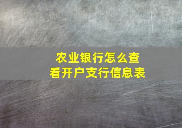 农业银行怎么查看开户支行信息表