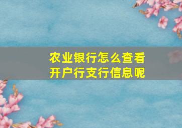 农业银行怎么查看开户行支行信息呢