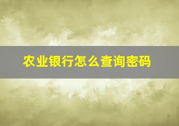 农业银行怎么查询密码