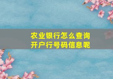 农业银行怎么查询开户行号码信息呢