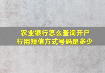 农业银行怎么查询开户行用短信方式号码是多少