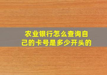 农业银行怎么查询自己的卡号是多少开头的