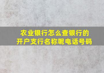 农业银行怎么查银行的开户支行名称呢电话号码