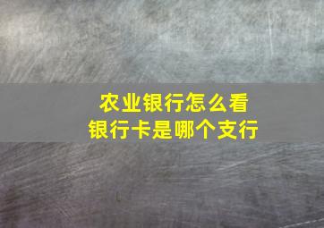 农业银行怎么看银行卡是哪个支行