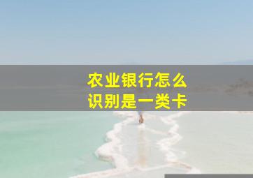 农业银行怎么识别是一类卡