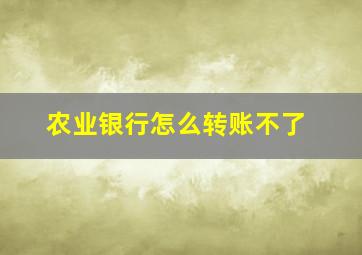 农业银行怎么转账不了