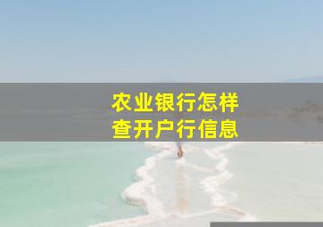 农业银行怎样查开户行信息