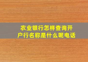 农业银行怎样查询开户行名称是什么呢电话