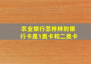 农业银行怎样辨别银行卡是1类卡和二类卡