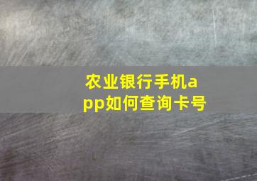 农业银行手机app如何查询卡号