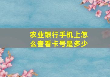 农业银行手机上怎么查看卡号是多少