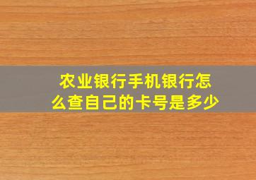 农业银行手机银行怎么查自己的卡号是多少