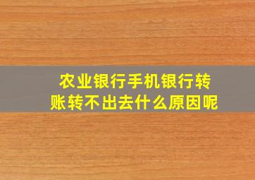 农业银行手机银行转账转不出去什么原因呢