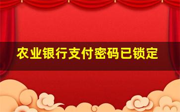 农业银行支付密码已锁定