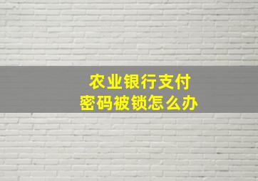 农业银行支付密码被锁怎么办