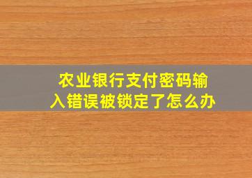 农业银行支付密码输入错误被锁定了怎么办