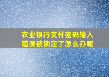 农业银行支付密码输入错误被锁定了怎么办呢