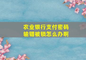 农业银行支付密码输错被锁怎么办啊