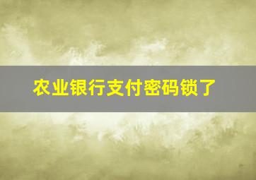 农业银行支付密码锁了