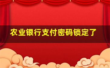 农业银行支付密码锁定了