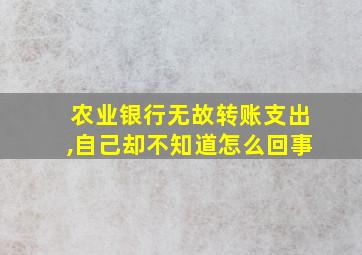 农业银行无故转账支出,自己却不知道怎么回事